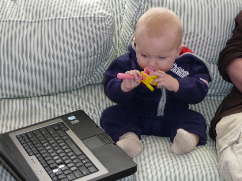 William's Thirty-Eigth Week 41.jpg